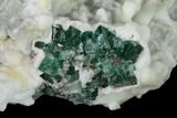 Aragonite Encrusted Fluorite Crystal Cluster - Rogerley Mine #135708-2